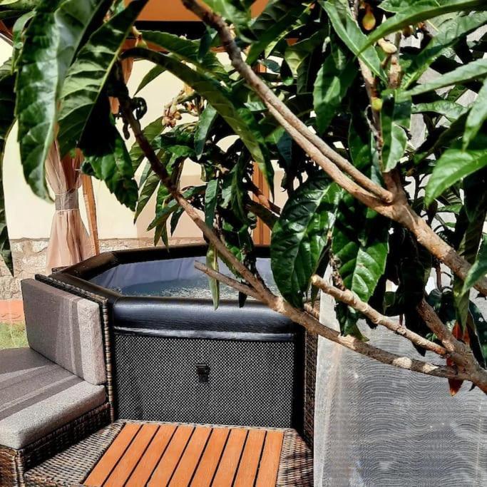 הוילה לוצ'יניאנו Il Casale Di Lucullo מראה חיצוני תמונה