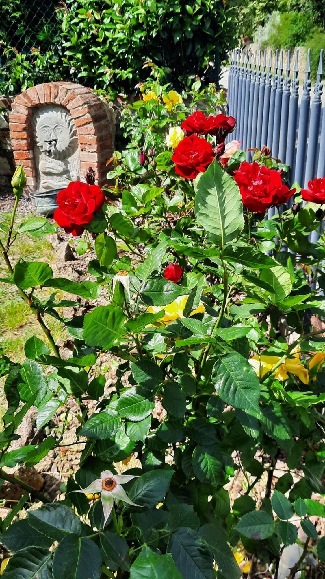הוילה לוצ'יניאנו Il Casale Di Lucullo מראה חיצוני תמונה